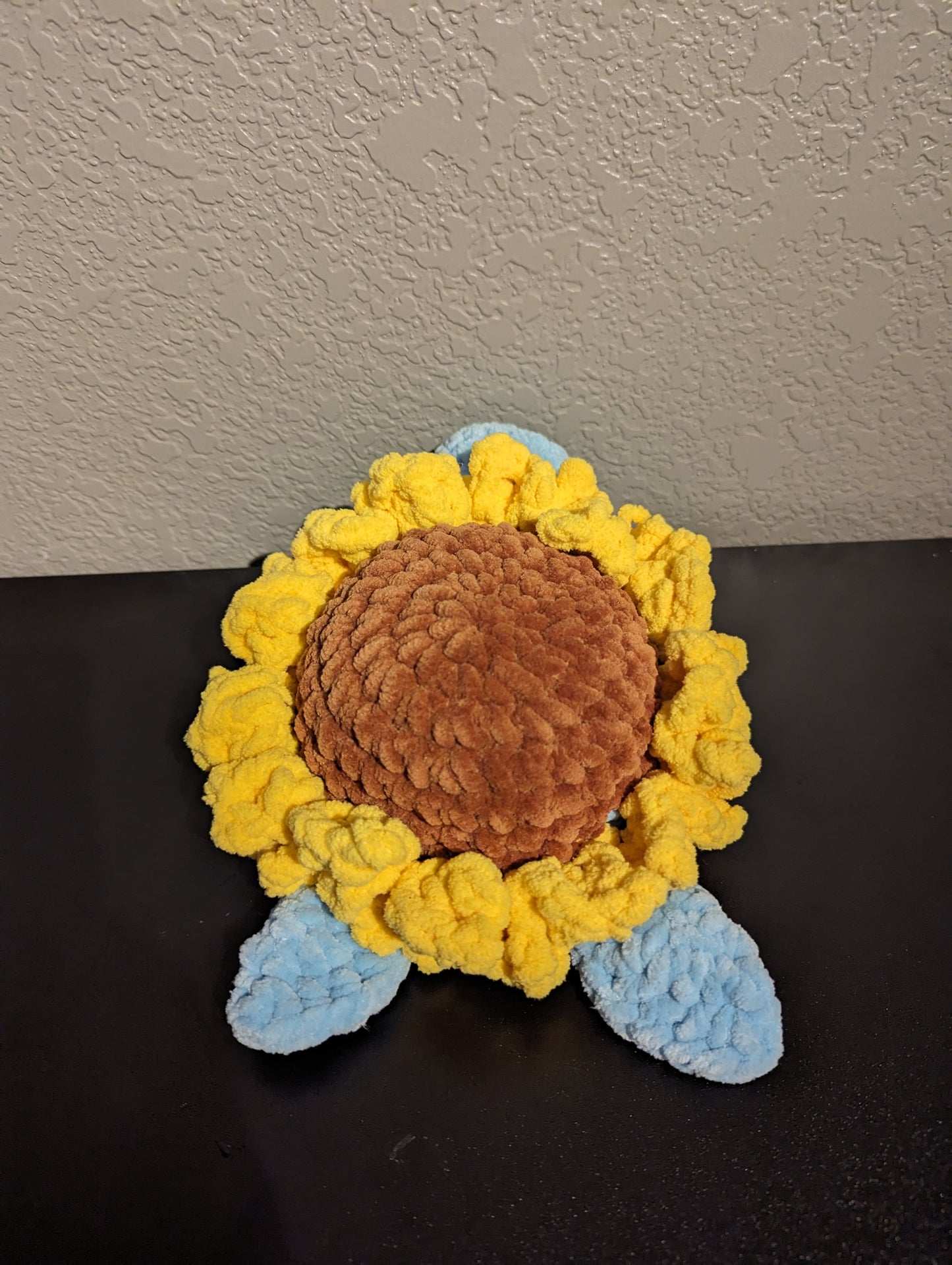 Sunflower Turtle